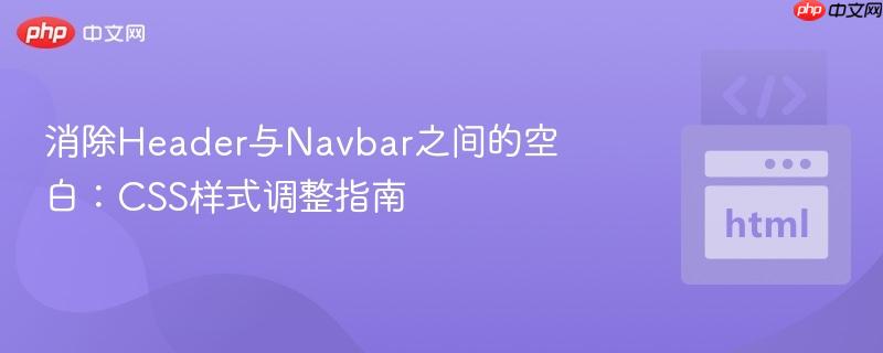 消除header与navbar之间的空白：css样式调整指南