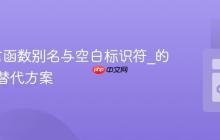 Go语言函数别名与空白标识符_的限制及替代方案