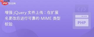 增强 jQuery 文件上传：在扩展名更改后进行可靠的 MIME 类型校验