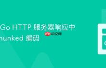 如何在 Go HTTP 服务器响应中禁用 Chunked 编码