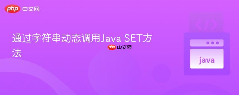 通过字符串动态调用Java SET方法