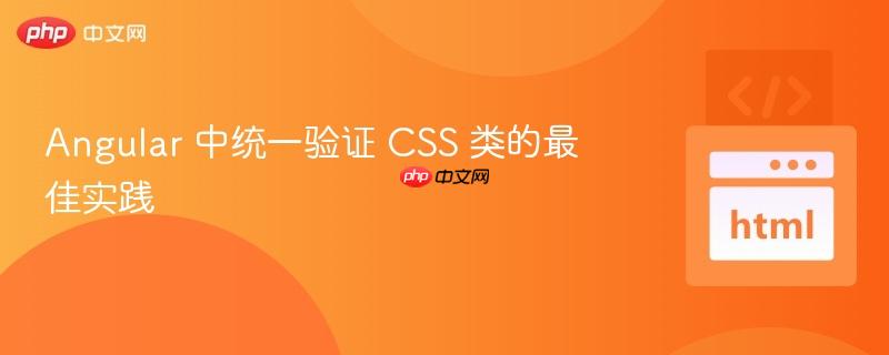 Angular 中统一验证 CSS 类的最佳实践