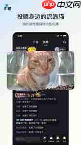 Vim9.0.1160发布了吗