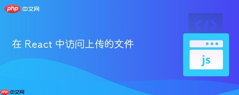 在 React 中访问上传的文件