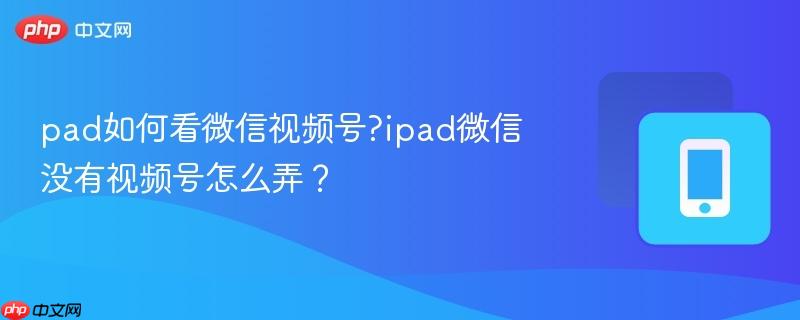 pad如何看微信视频号?ipad微信没有视频号怎么弄？