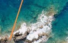 梦幻花园清洁小妙招