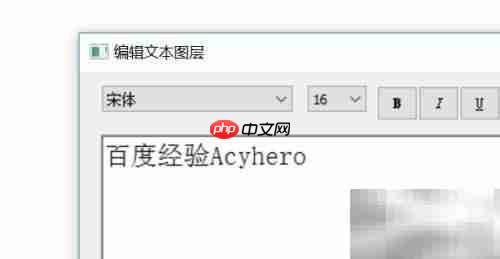 SketchBook Pro修改文本图层文字