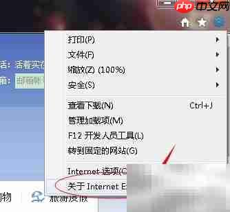 如何查看IE浏览器版本