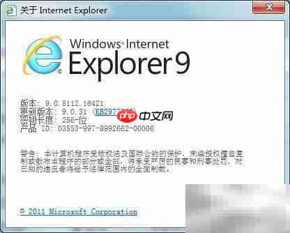 如何查看IE浏览器版本