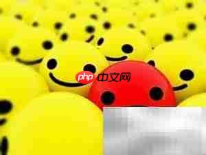 条理人生,从整理开始