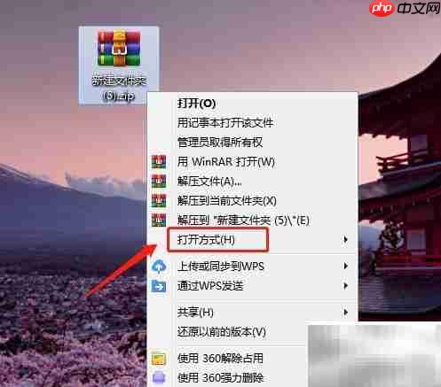 ZIP文件打开技巧