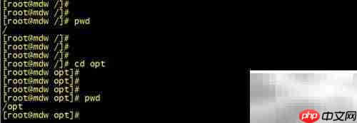 Linux cd命令高效使用技巧