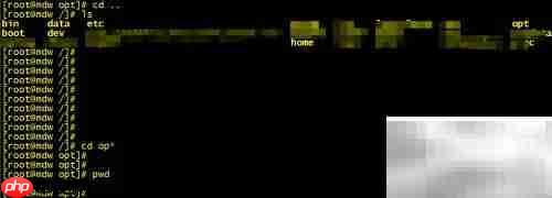 Linux cd命令高效使用技巧