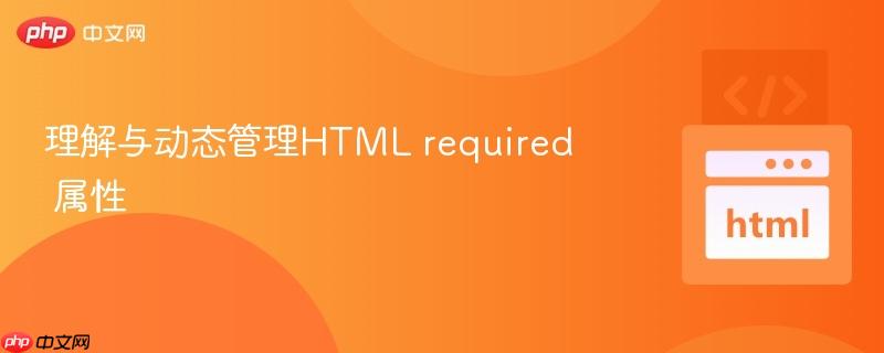 理解与动态管理HTML required 属性