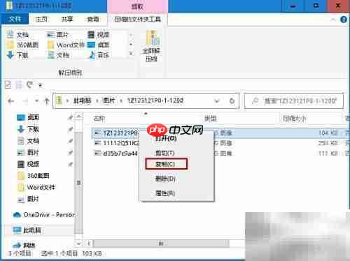 如何提取Zip中的单个文件
