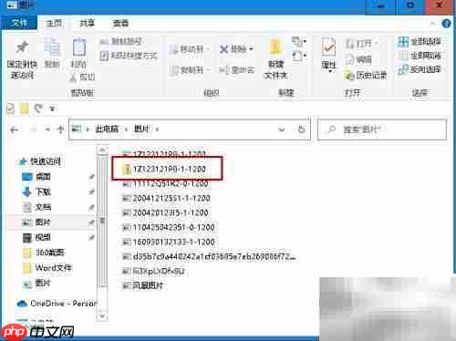 如何提取Zip中的单个文件