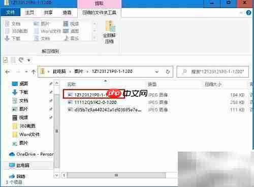 如何提取Zip中的单个文件