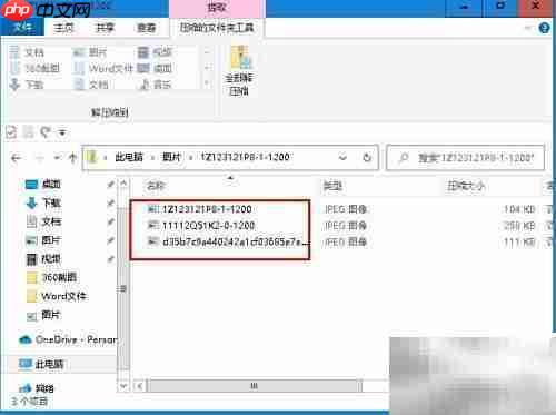 如何提取Zip中的单个文件