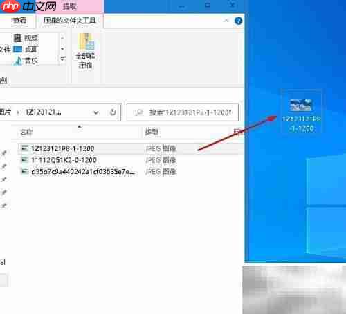 如何提取Zip中的单个文件