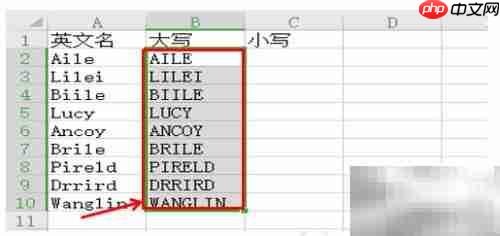 WPS表格大小写批量转换技巧
