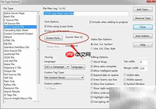 Source Insight字体设置技巧
