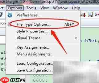 source insight字体设置技巧