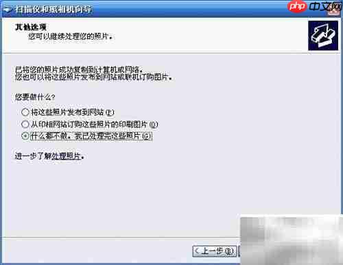 扫描仪操作指南