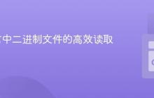 Go语言中二进制文件的高效读取指南