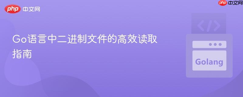 Go语言中二进制文件的高效读取指南
