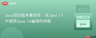 Java项目版本兼容性：在Java 11中使用Java 14编译的依赖