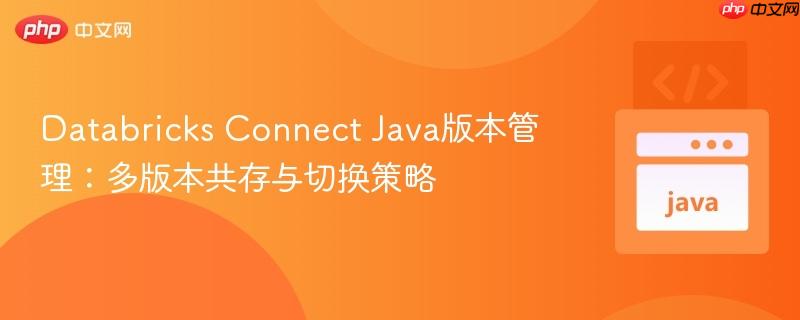 Databricks Connect Java版本管理：多版本共存与切换策略