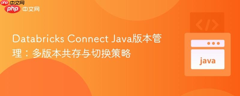 Databricks Connect Java版本管理:多版本共存与切换策略