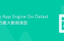Google App Engine Go Datastore 中的最大数据类型