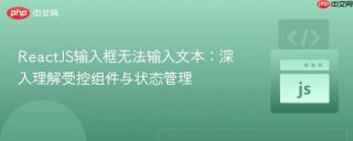 ReactJS输入框无法输入文本：深入理解受控组件与状态管理