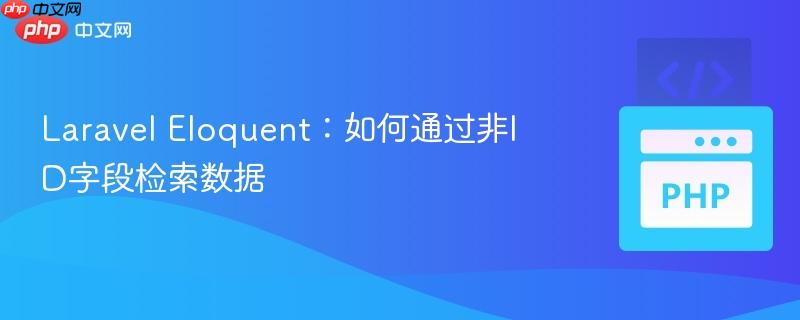 Laravel Eloquent：如何通过非ID字段检索数据