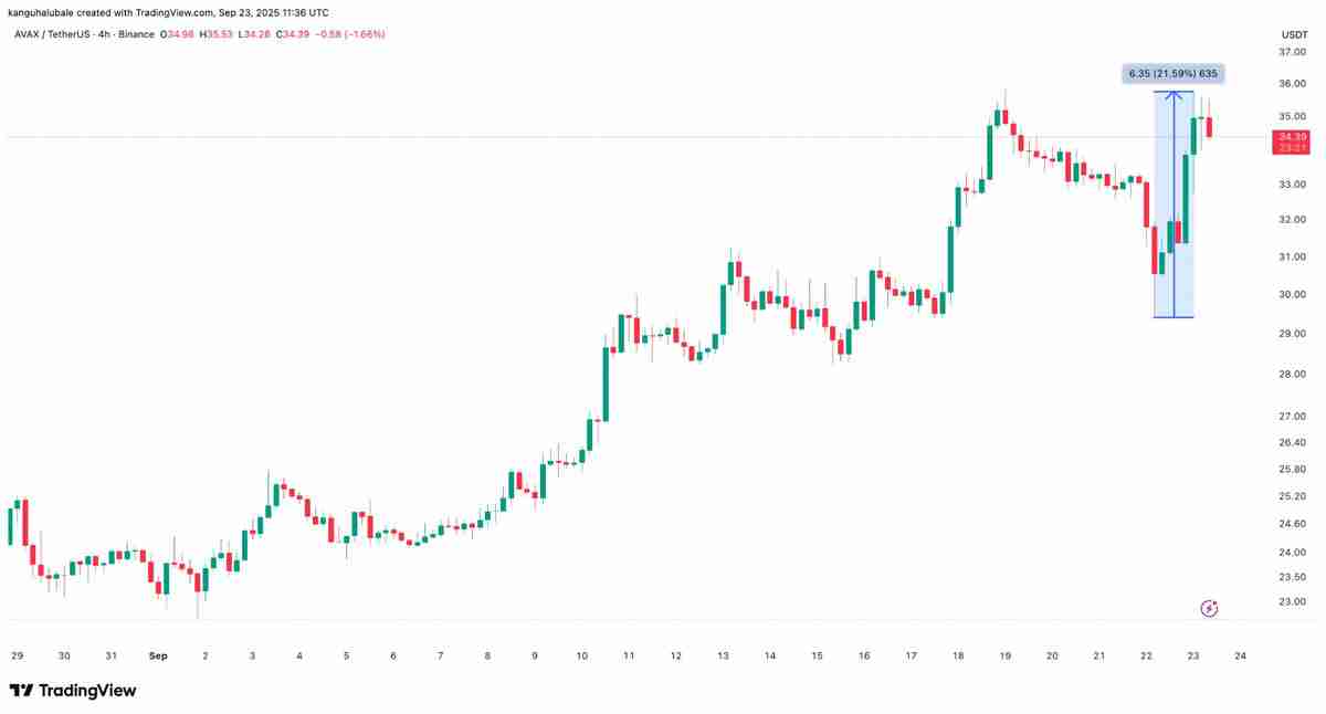 Avalanche逆势上扬,AVAX价格暴涨10%——一文了解背后原因揭秘