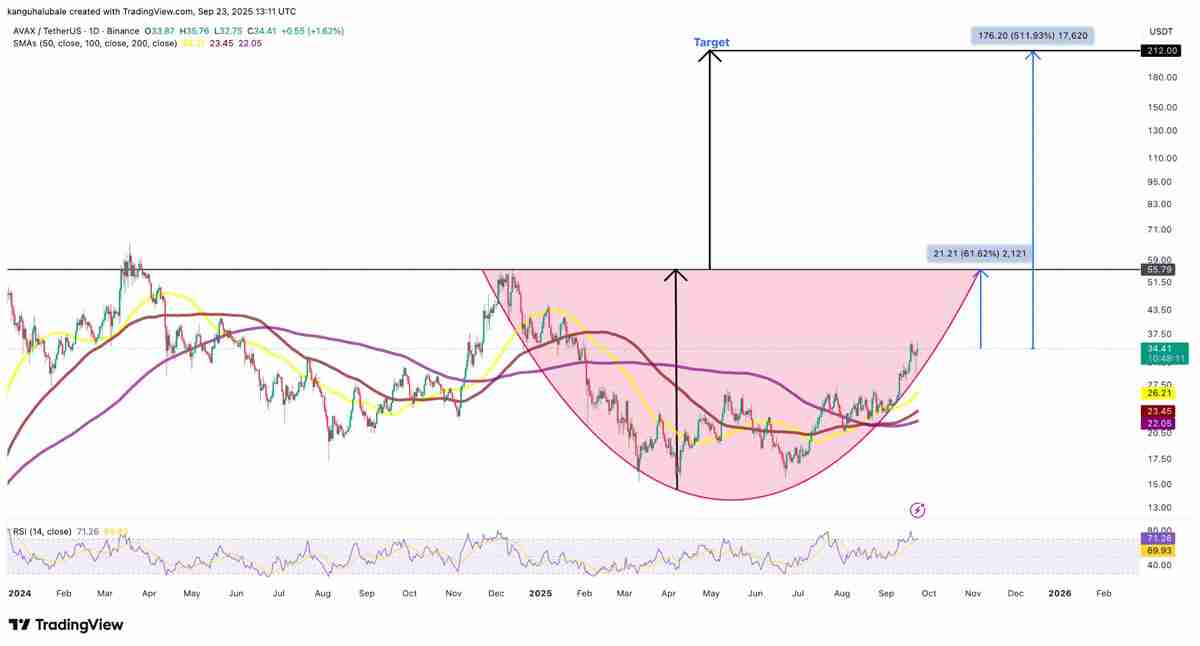 Avalanche逆势上扬,AVAX价格暴涨10%——一文了解背后原因揭秘