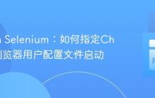 Python Selenium：如何指定Chrome浏览器用户配置文件启动