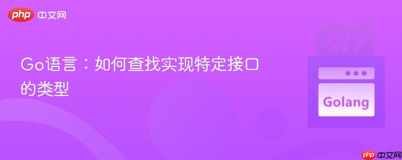 Go语言：如何查找实现特定接口的类型