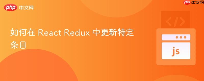 如何在 React Redux 中更新特定条目