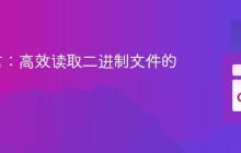 Go语言：高效读取二进制文件的方法