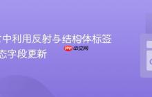 Go语言中利用反射与结构体标签实现动态字段更新