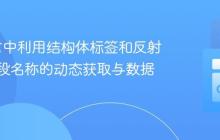 Go语言中利用结构体标签和反射实现字段名称的动态获取与数据库映射