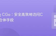 Golang CGo：安全高效地访问C语言联合体字段