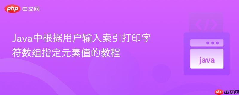 Java中根据用户输入索引打印字符数组指定元素值的教程