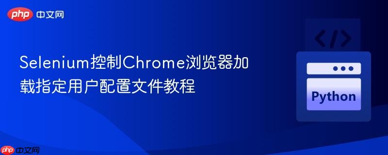 Selenium控制Chrome浏览器加载指定用户配置文件教程