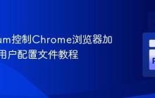 Selenium控制Chrome浏览器加载指定用户配置文件教程