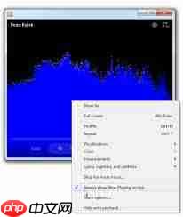 wmp播放器插件如何进行屏幕设置