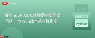 解决mip包CBC求解器内核崩溃问题：Python版本兼容性指南