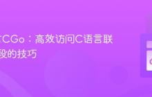 Go语言CGo：高效访问C语言联合体字段的技巧